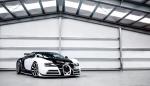 Bugatti Veyron 16.4 Linea Vivere by Mansory 2014 года
